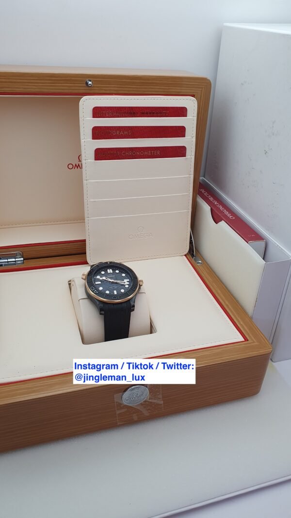 Omega Seamaster Diver 300M 210.62.44.20.01.001 Black 44mm Ceramic Sedna Gold Full Set MSRP 19K