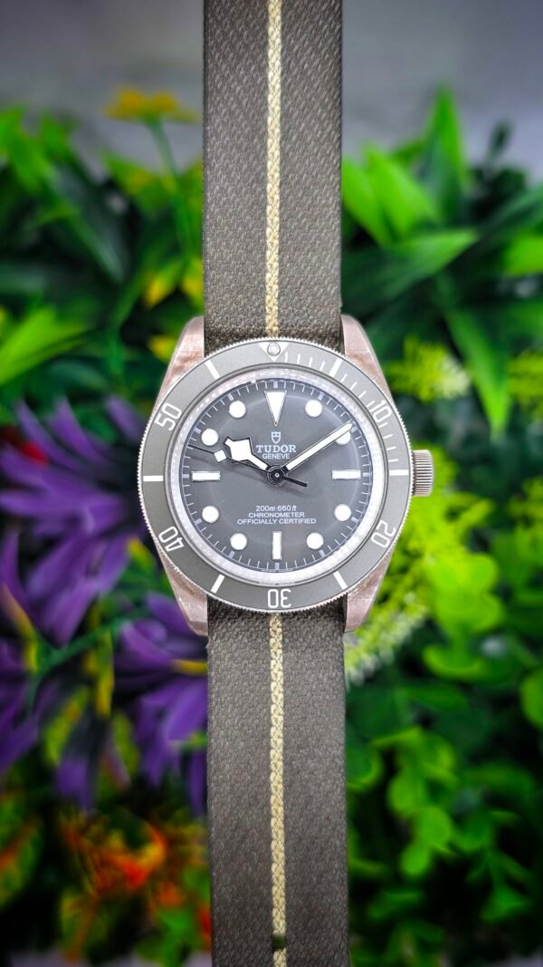 Tudor Black Bay 58 Silver 925 M79010SG-0002 M79010SG 39mm Grey Silver Full Set